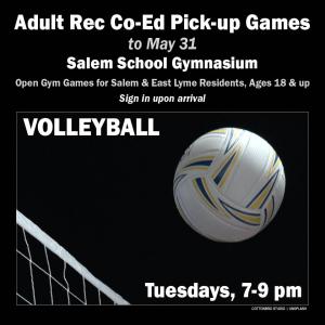 Adult Pick up Volleyball Games