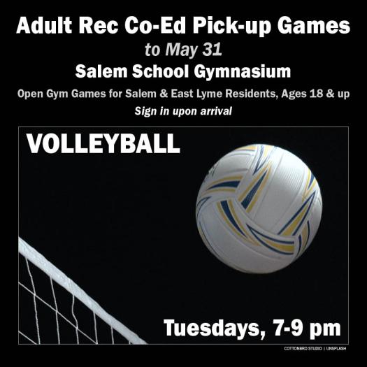 Adult Recreation Open Gym Pickup Volleyball Games