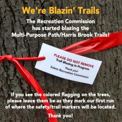 We're Blazing Trails!