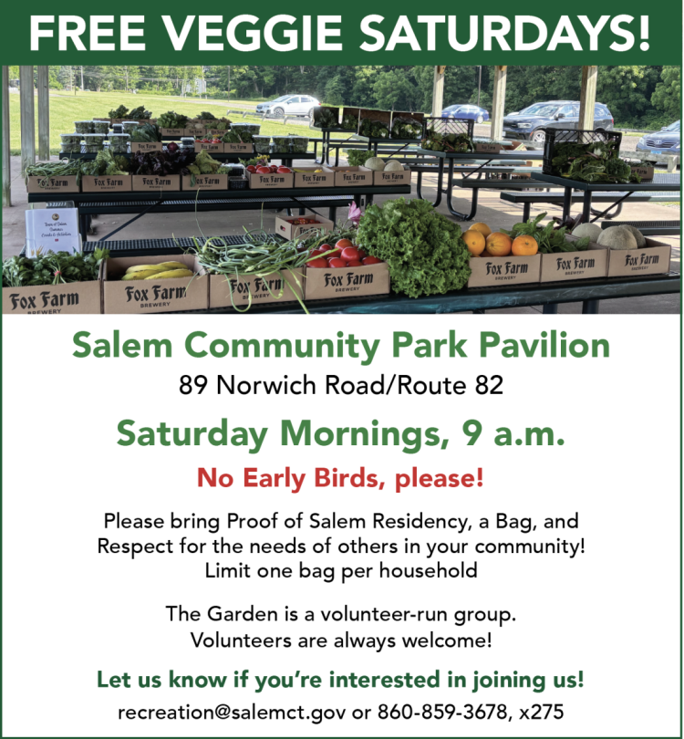 Veggie Giveaway