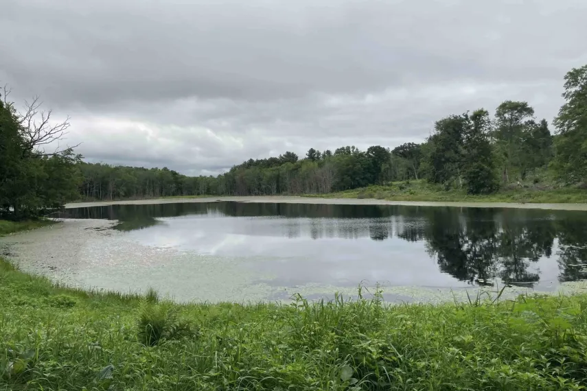 Zemko Pond
