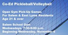 2019 co-ed pickleball/volleyball
