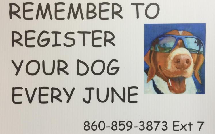dog registration poster